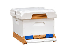 Load image into Gallery viewer, Apimaye Pura Fusion Hive | Single Deep