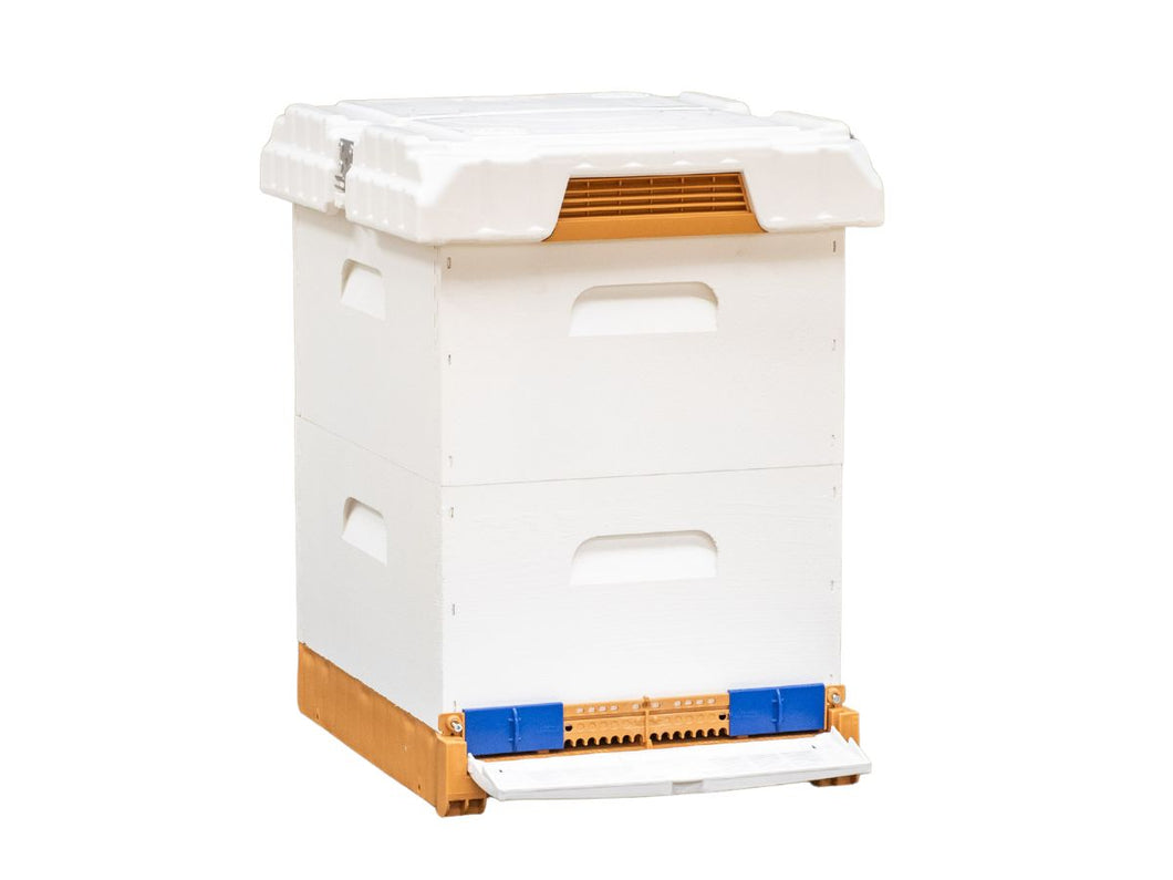 Apimaye Pura Fusion Hive | Double Deep